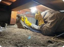 土台や根太、束までしっかり処理