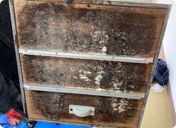 床下湿気によるカビの発生