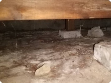 湿気により悪化した床下